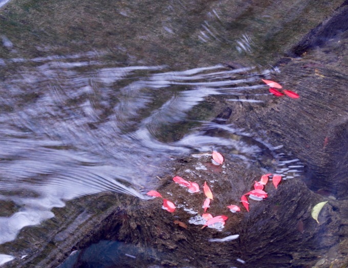 a0248459_14411543.jpg