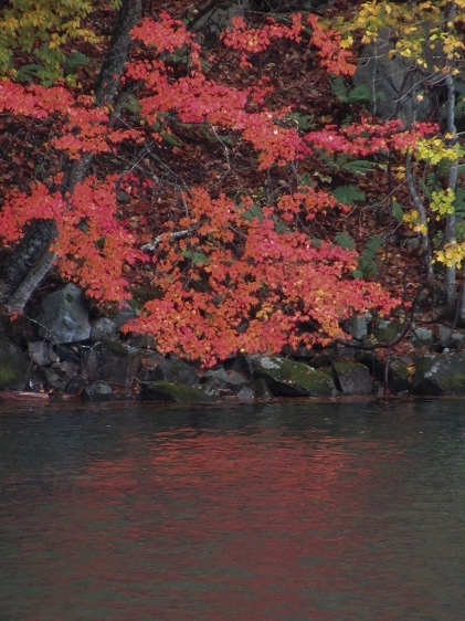 b0123359_20244089.jpg