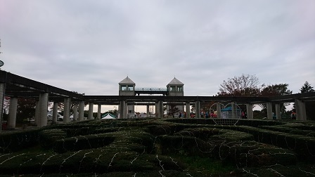 a0208560_10574054.jpg