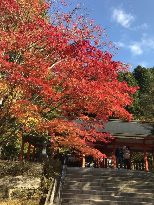 肝心の紅葉へ_d0387060_18230353.jpg