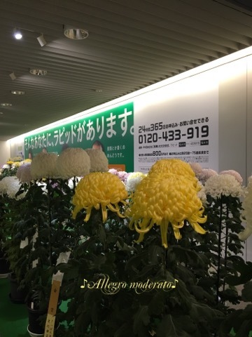 d0240961_19370406.jpeg