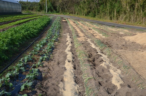 f0186462_22263255.jpg