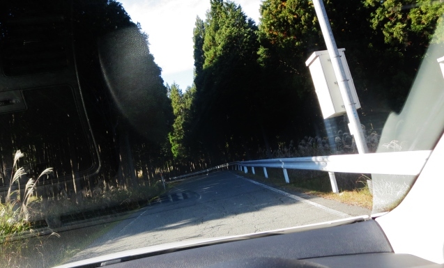 c0099564_18230936.jpg