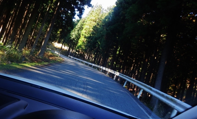 c0099564_18232848.jpg