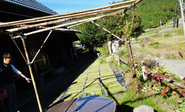 c0099564_18443037.jpg