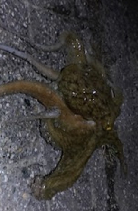 e0108765_13232444.jpg