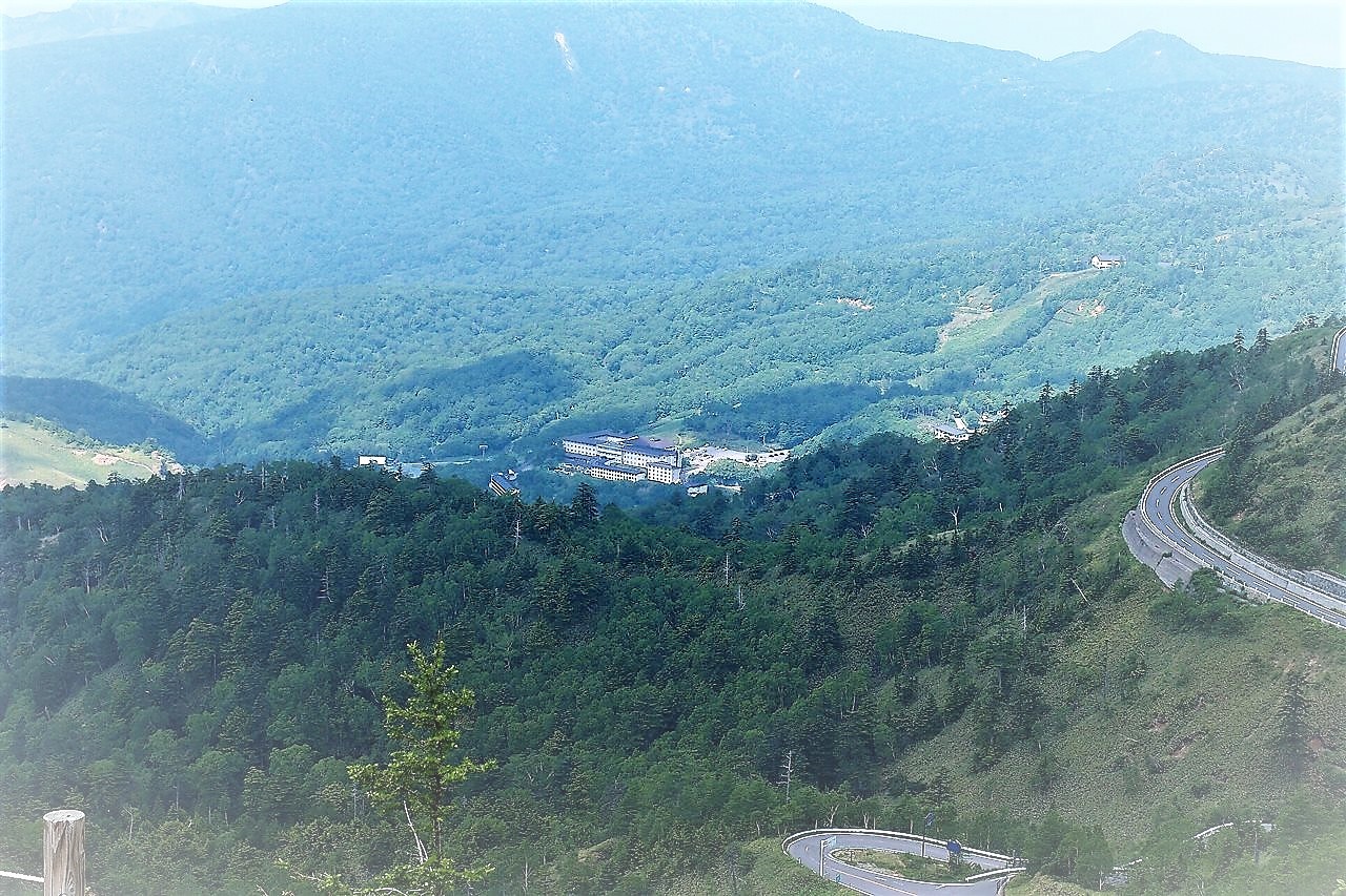 絶景の湯釜とコマクサの群生 草津白根山 17 7 8 Mmm My Mountain Memories