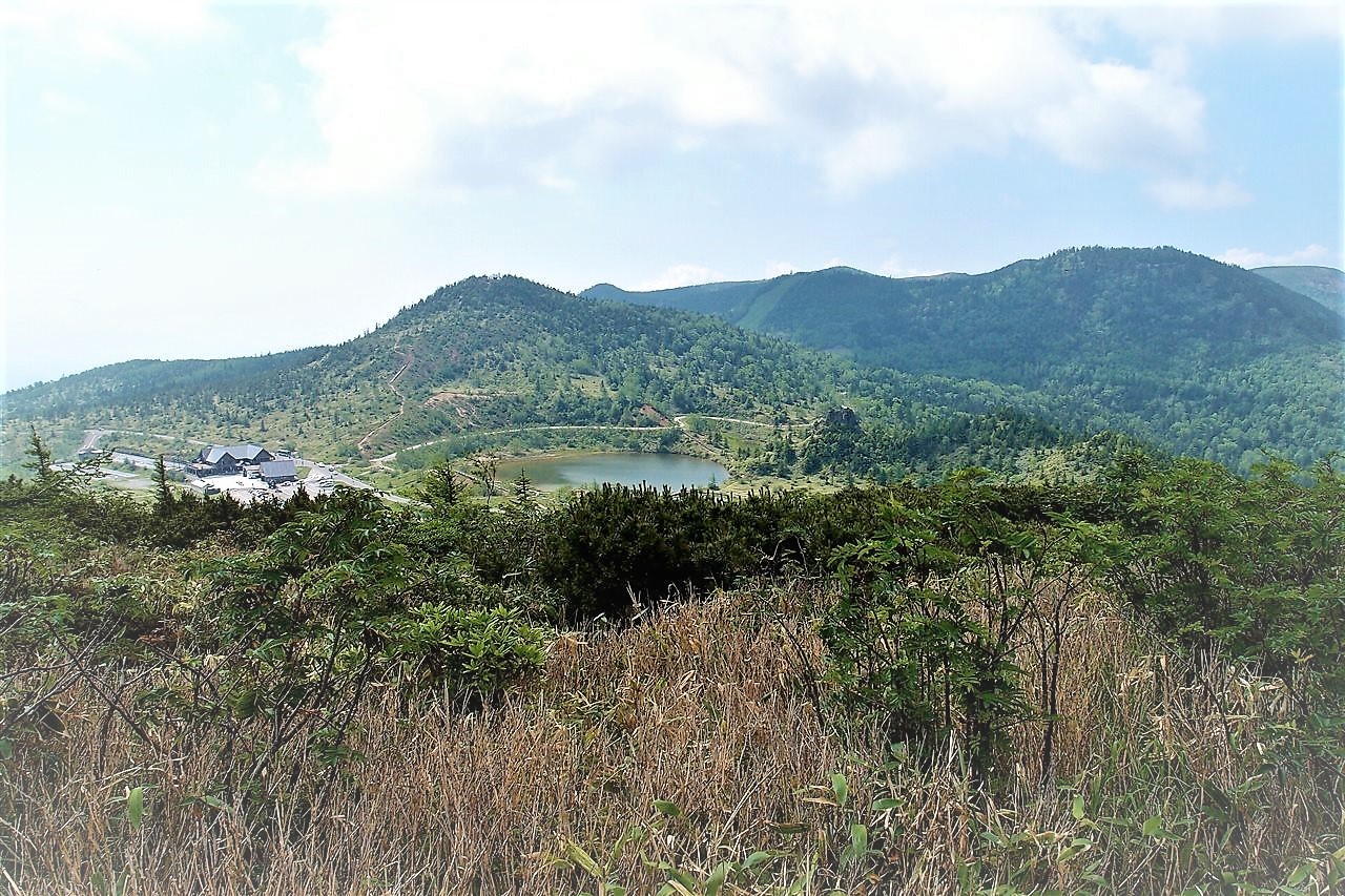 絶景の湯釜とコマクサの群生 草津白根山 17 7 8 Mmm My Mountain Memories