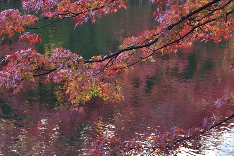 f0065768_04280034.jpg