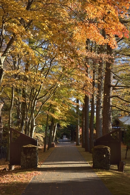 f0065768_05034165.jpg