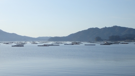 f0350468_07363495.jpg