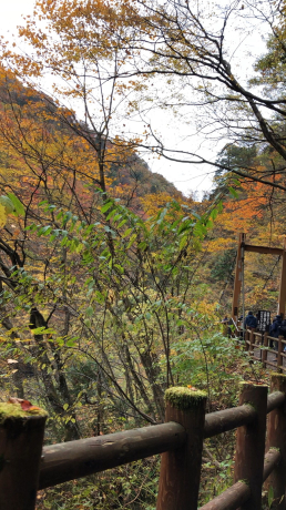 目の前かよっ! 回顧の滝!_e0355177_19143541.jpg