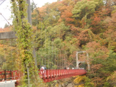 目の前かよっ! 回顧の滝!_e0355177_19383777.jpg