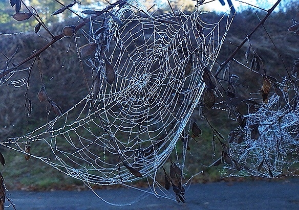 e0091879_23183085.jpg