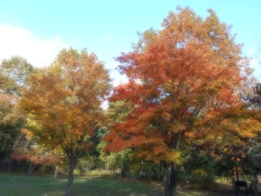 c0069380_09062945.jpg