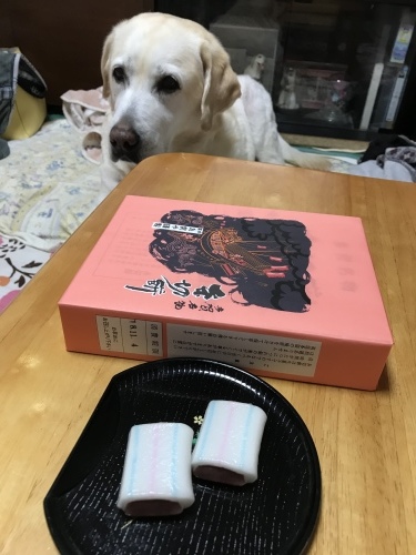 f0315081_17505088.jpeg