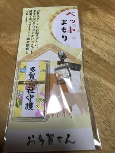 f0315081_17533075.jpeg