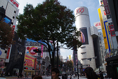 b0056983_17315490.jpg