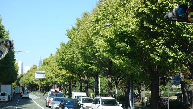 東京～横浜を行ったり来たり_f0146587_18380544.jpg