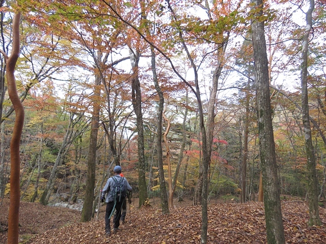 神原登山口～神掛岩～小松尾根～祖母山～神原登山口、3日_f0357487_21521851.jpg