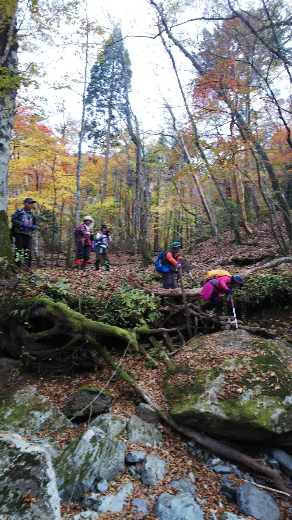 神原登山口～神掛岩～小松尾根～祖母山～神原登山口、3日_f0357487_22010495.jpeg