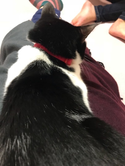 d0207491_19411901.jpeg