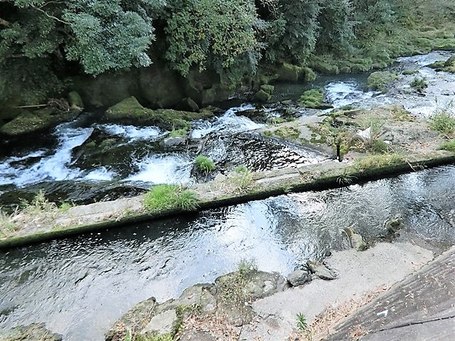 d0181492_07494032.jpg