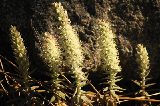 a0206496_16051141.jpg