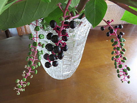 d0046702_07582460.jpg
