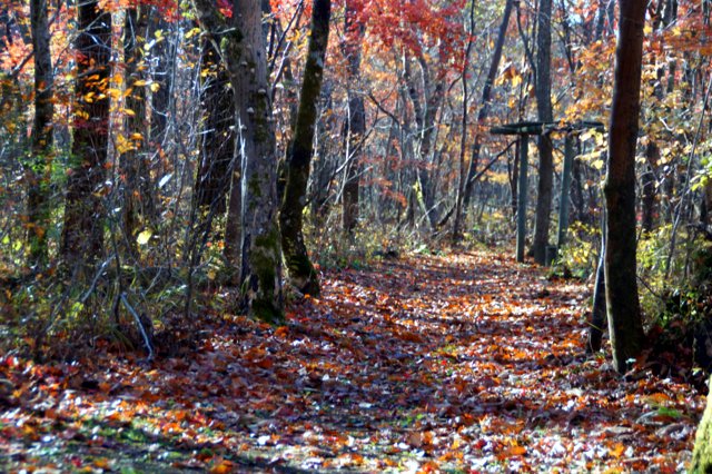 a0345007_1642542.jpg