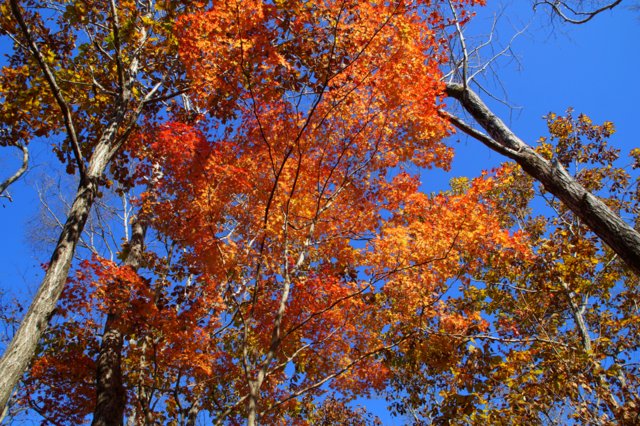 a0345007_16462476.jpg