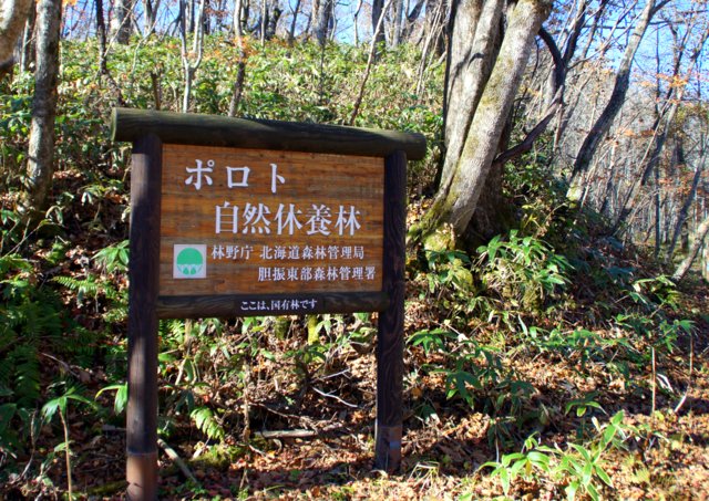 a0345007_1655728.jpg