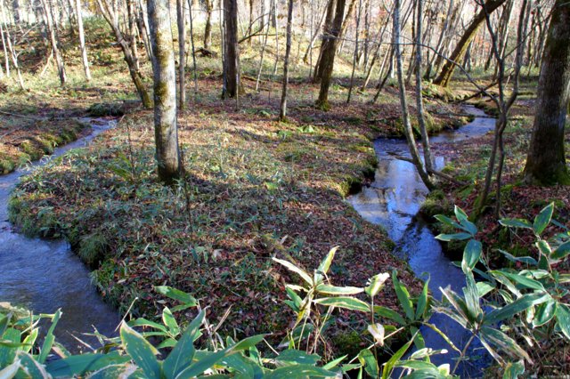 a0345007_17232416.jpg