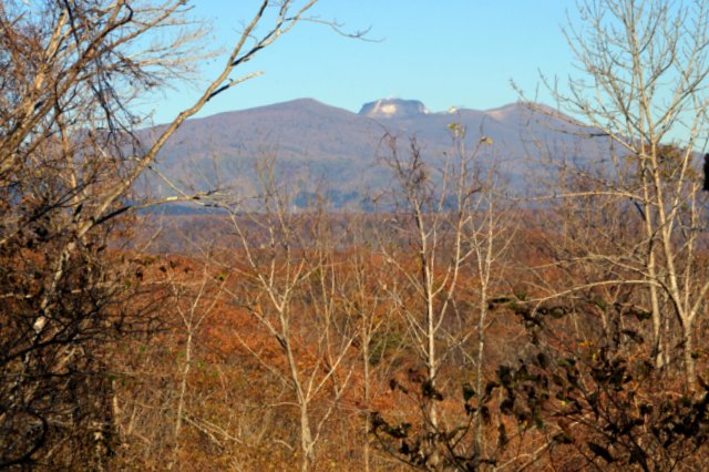 a0345007_1783844.jpg