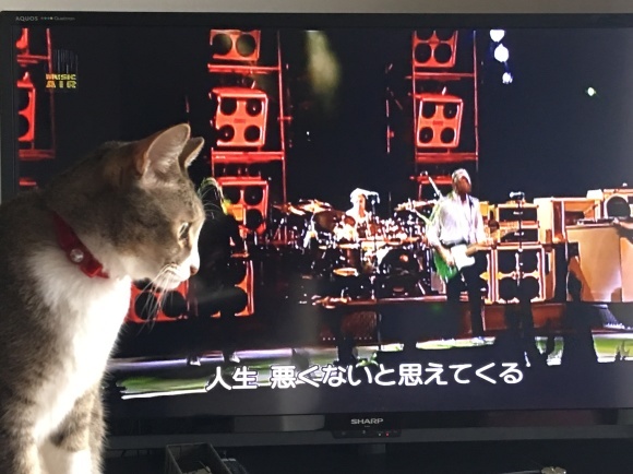c0109109_13284188.jpeg