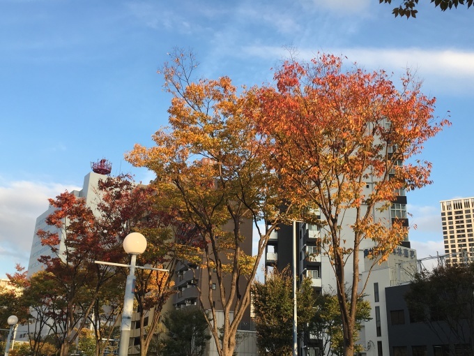 はじまり、はじまり NO.608_c0102513_15224758.jpeg