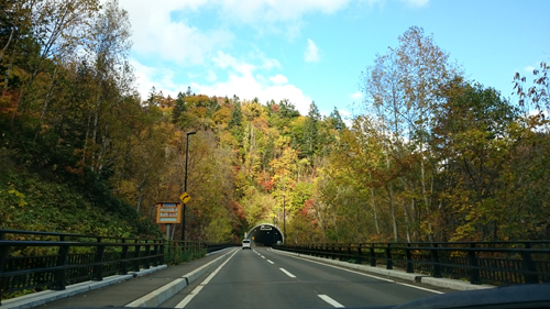 d0113613_14152016.jpg