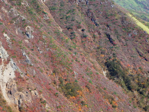 峰の茶屋跡目指す　日本百名山 那須岳 (1.897.5M)_d0170615_10564958.jpg