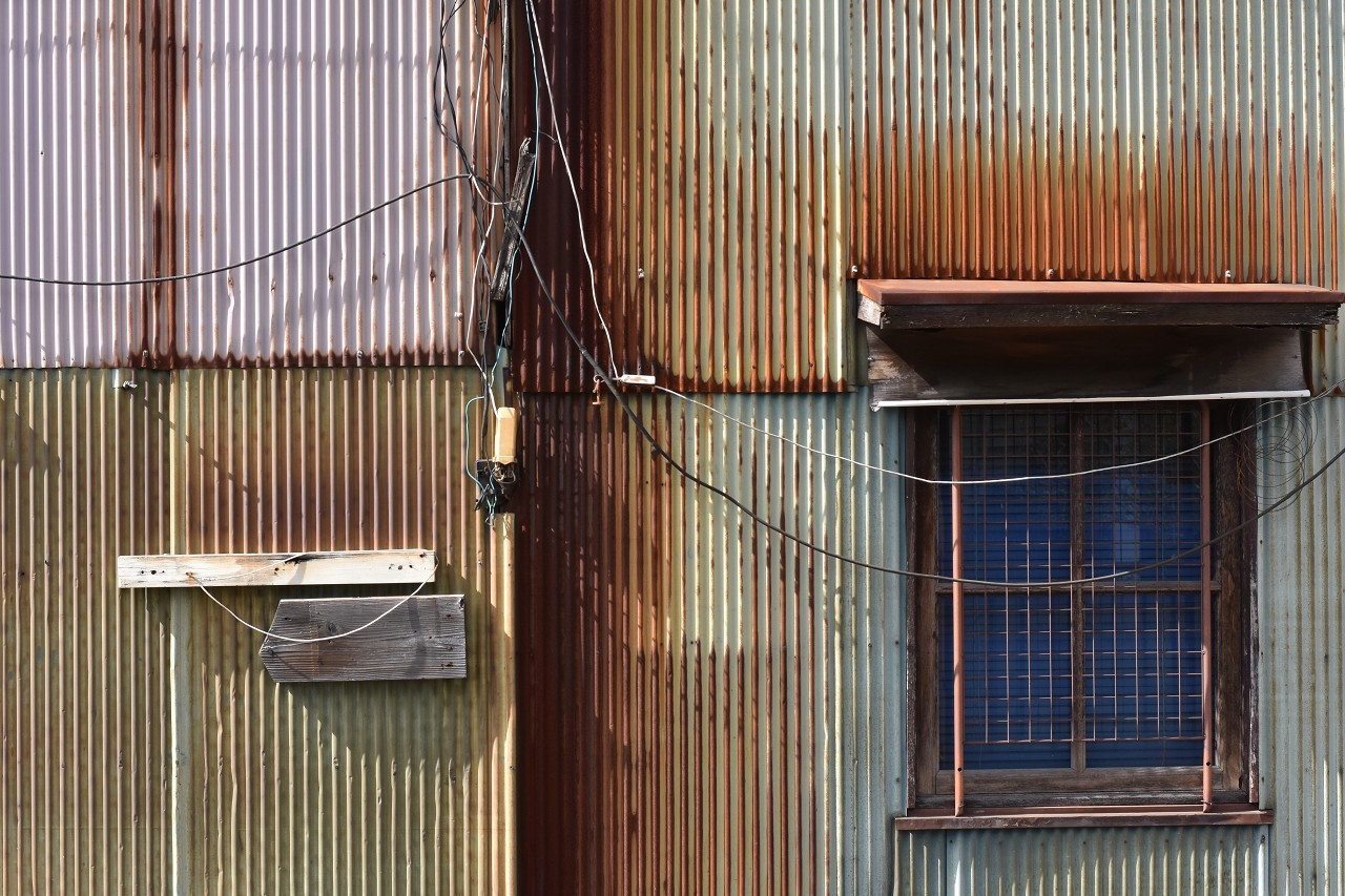 d0065116_20233691.jpg