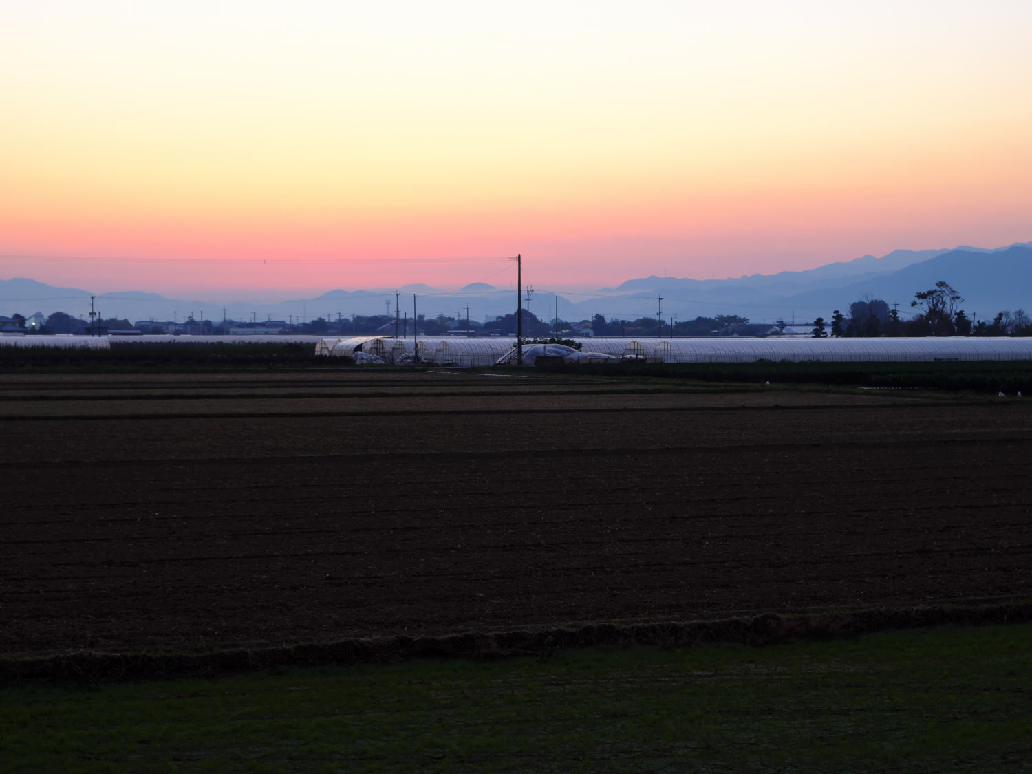 d0355116_19570964.jpg