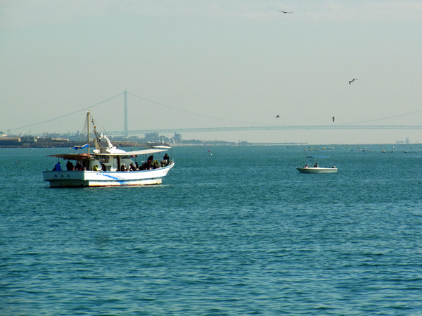 e0083517_14181560.jpg
