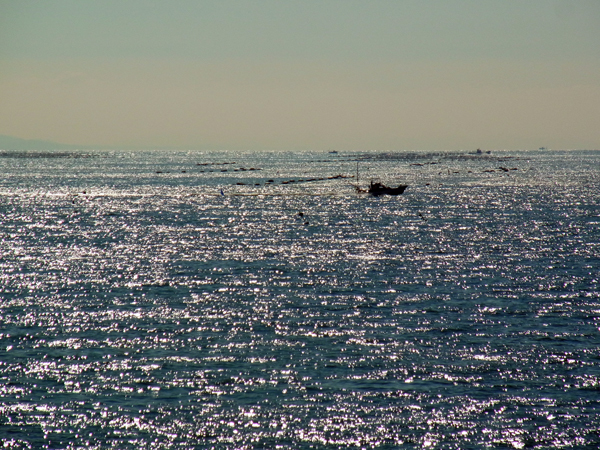 e0083517_14182574.jpg
