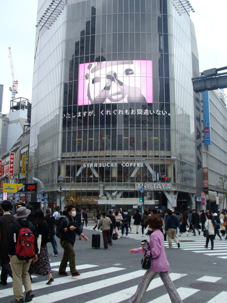 e0146518_12514995.jpg