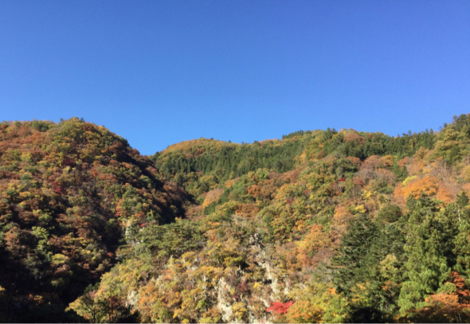 群馬・上野村　御巣鷹の尾根（日航123便墜落地）へ。（平成三十年十月三十日・二部①）_d0221319_16291749.jpg