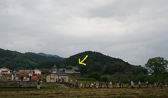 f0000521_20050958.png