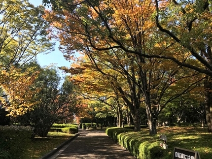 「ブリヂストン美術館展」に・・・_a0105023_22084725.jpg