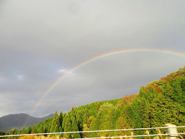 e0072023_20303611.jpg
