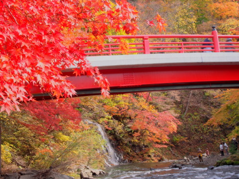 中野もみじ山の紅葉(黒石市)*2018.11.05_b0147224_21524962.jpg