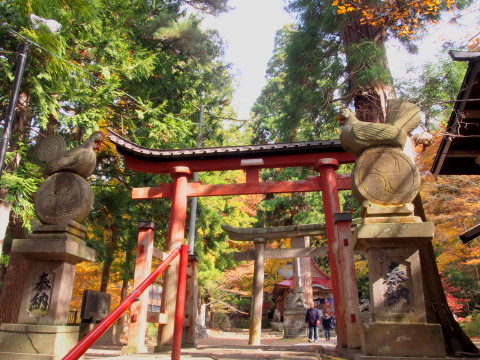 中野もみじ山の紅葉(黒石市)*2018.11.05_b0147224_2153979.jpg