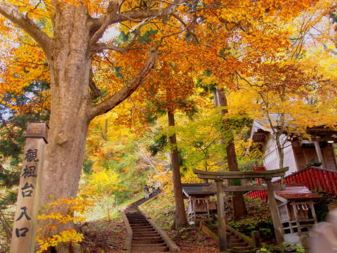 中野もみじ山の紅葉（黒石市）*2018.11.05_b0147224_21541114.jpg